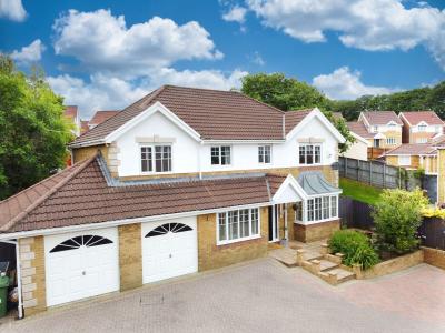 Three Estate Agents